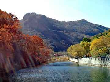 莱芜烧饼，升降路桩